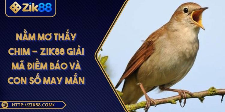 Nằm Mơ Thấy Chim - ZIK88 Giải Mã Điềm Báo Và Con Số May Mắn