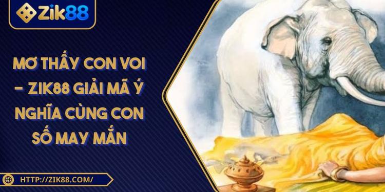 Mơ Thấy Con Voi - ZIK88 Giải Mã Ý Nghĩa Cùng Con Số May Mắn