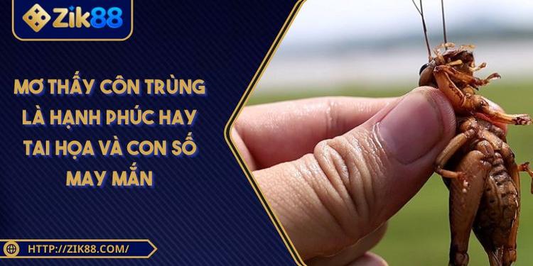 Mơ Thấy Côn Trùng Là Hạnh Phúc Hay Tai Họa Và Con Số May Mắn