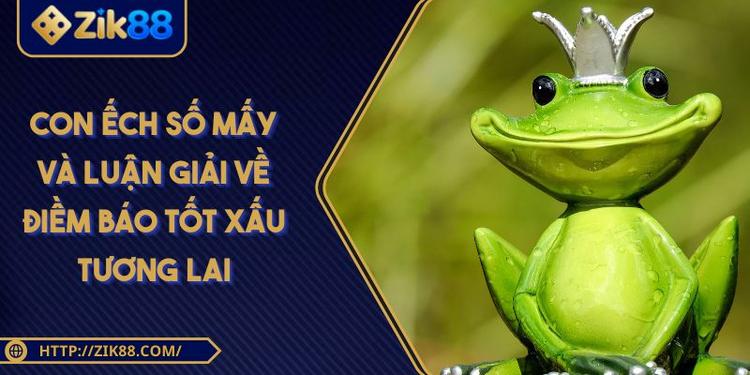 Con Ếch Số Mấy Và Luận Giải Về Điềm Báo Tốt Xấu Tương Lai