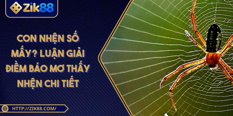 Con Nhện Số Mấy? Luận Giải Điềm Báo Mơ Thấy Nhện Chi Tiết